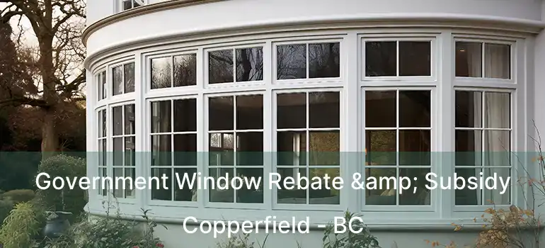  Government Window Rebate & Subsidy Copperfield - BC