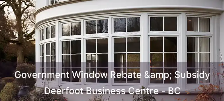  Government Window Rebate & Subsidy Deerfoot Business Centre - BC
