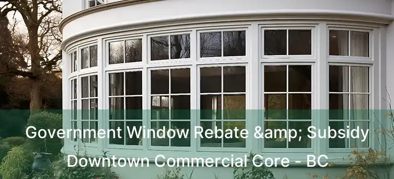  Government Window Rebate & Subsidy Downtown Commercial Core - BC