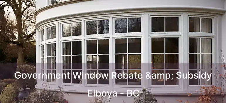  Government Window Rebate & Subsidy Elboya - BC