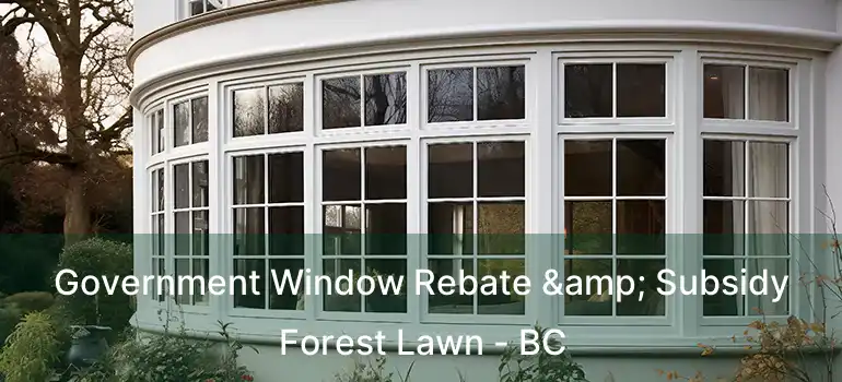  Government Window Rebate & Subsidy Forest Lawn - BC