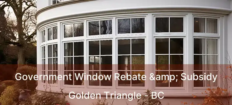  Government Window Rebate & Subsidy Golden Triangle - BC