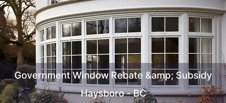  Government Window Rebate & Subsidy Haysboro - BC