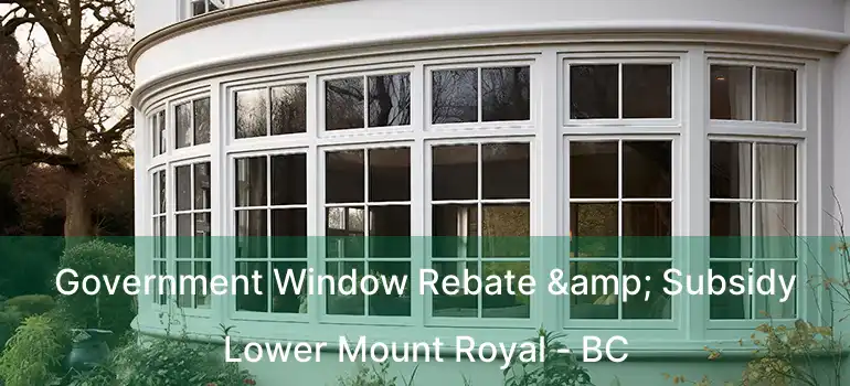  Government Window Rebate & Subsidy Lower Mount Royal - BC