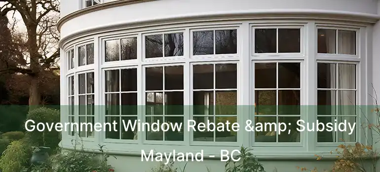  Government Window Rebate & Subsidy Mayland - BC