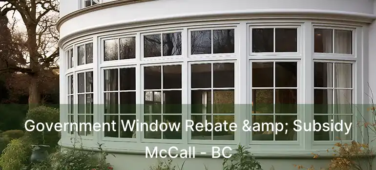  Government Window Rebate & Subsidy McCall - BC