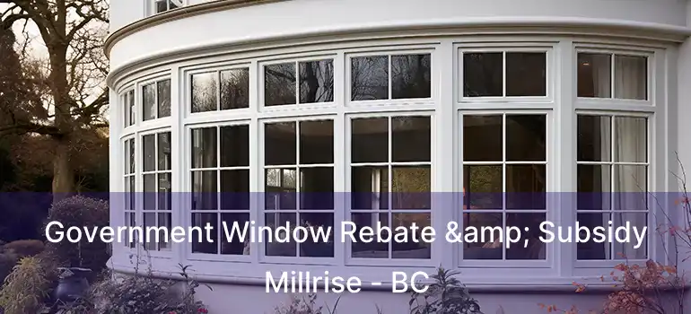  Government Window Rebate & Subsidy Millrise - BC