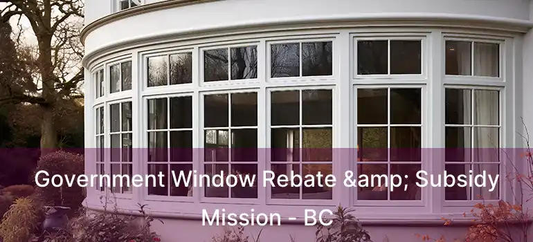  Government Window Rebate & Subsidy Mission - BC