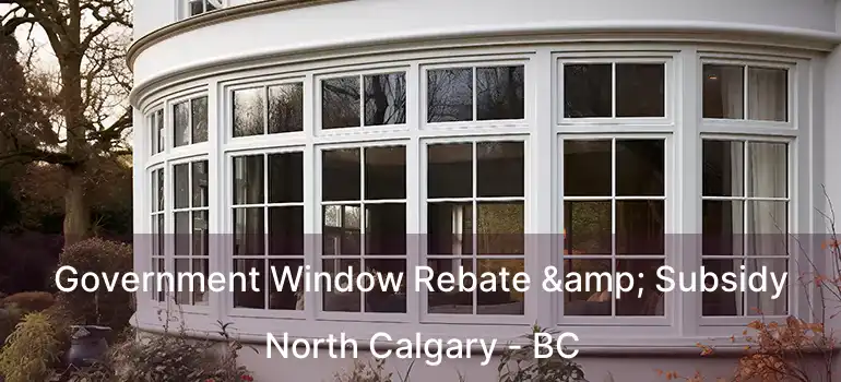  Government Window Rebate & Subsidy North Calgary - BC