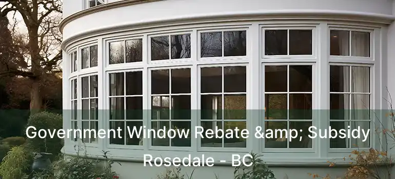 Government Window Rebate & Subsidy Rosedale - BC