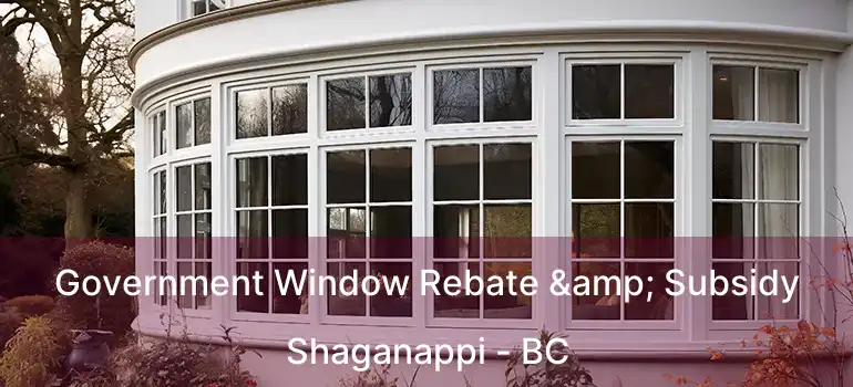  Government Window Rebate & Subsidy Shaganappi - BC