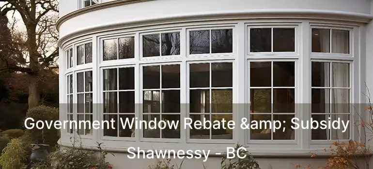  Government Window Rebate & Subsidy Shawnessy - BC