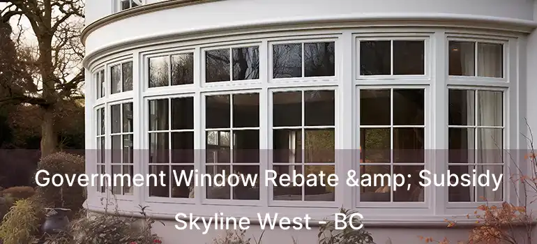  Government Window Rebate & Subsidy Skyline West - BC