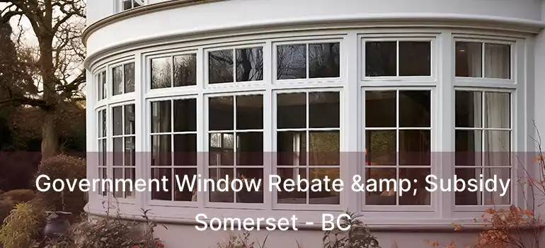  Government Window Rebate & Subsidy Somerset - BC