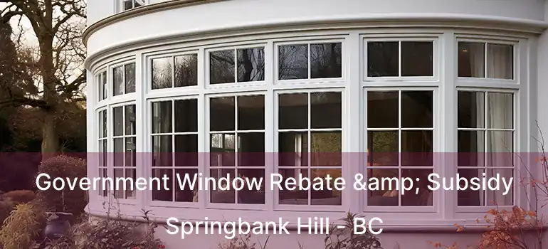  Government Window Rebate & Subsidy Springbank Hill - BC