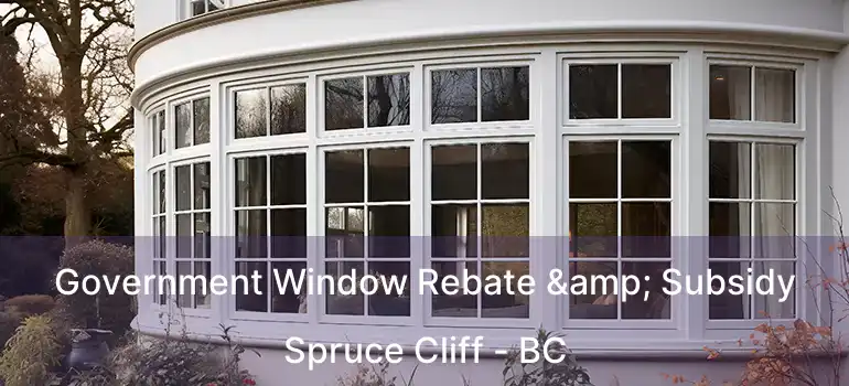  Government Window Rebate & Subsidy Spruce Cliff - BC