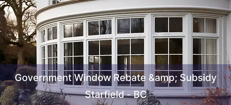  Government Window Rebate & Subsidy Starfield - BC