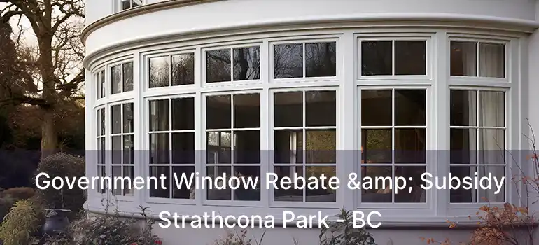  Government Window Rebate & Subsidy Strathcona Park - BC