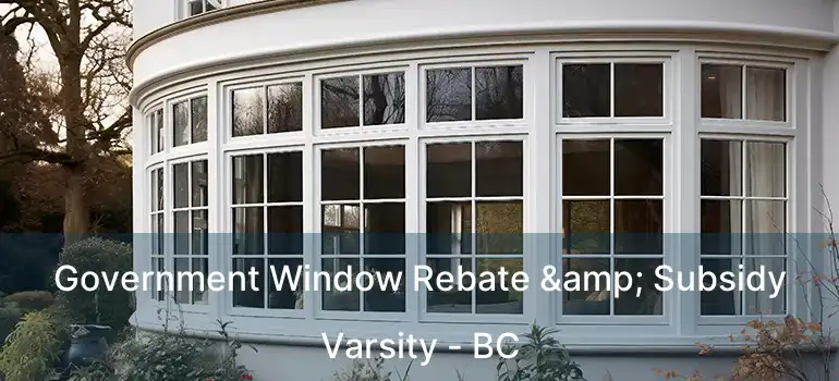  Government Window Rebate & Subsidy Varsity - BC