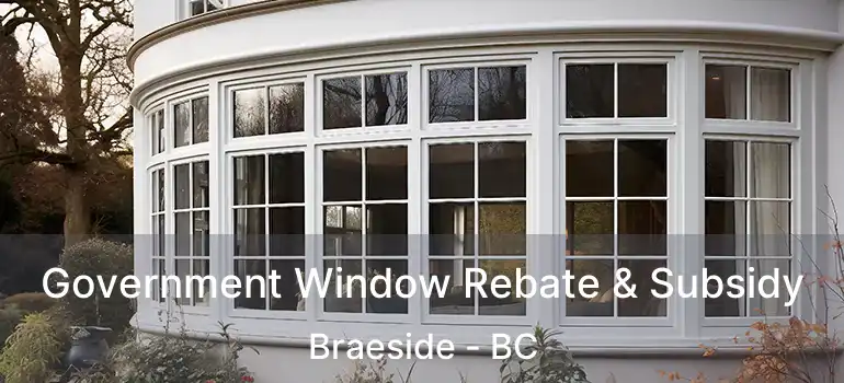  Government Window Rebate & Subsidy Braeside - BC