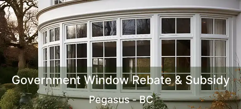  Government Window Rebate & Subsidy Pegasus - BC