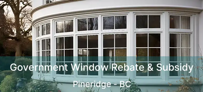  Government Window Rebate & Subsidy Pineridge - BC