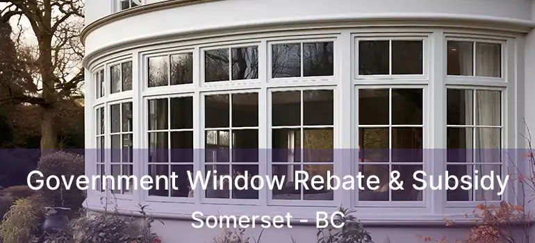  Government Window Rebate & Subsidy Somerset - BC