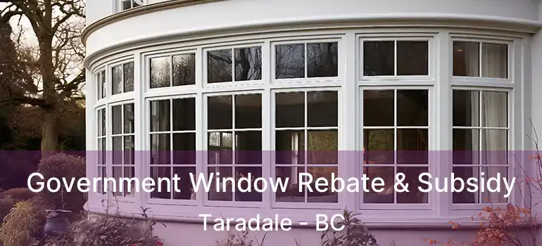  Government Window Rebate & Subsidy Taradale - BC