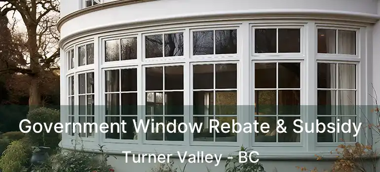  Government Window Rebate & Subsidy Turner Valley - BC