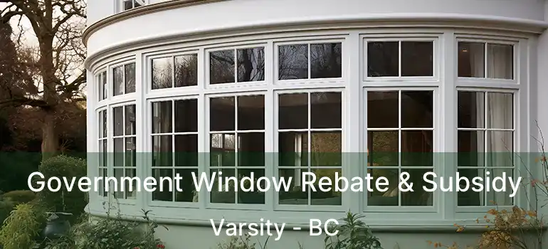  Government Window Rebate & Subsidy Varsity - BC