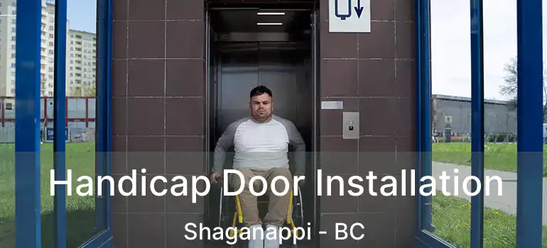  Handicap Door Installation Shaganappi - BC