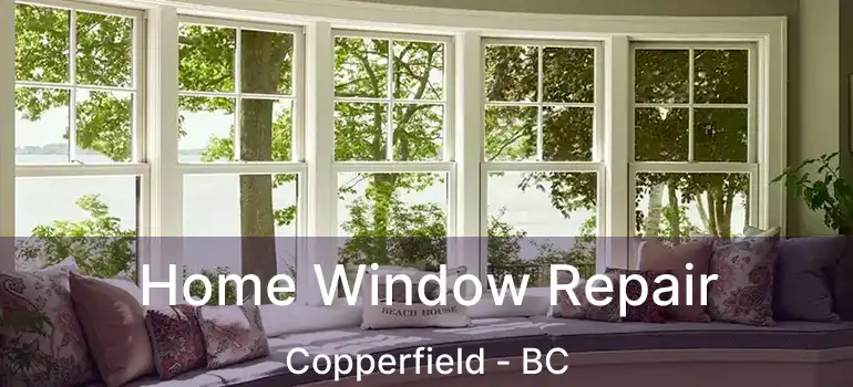  Home Window Repair Copperfield - BC