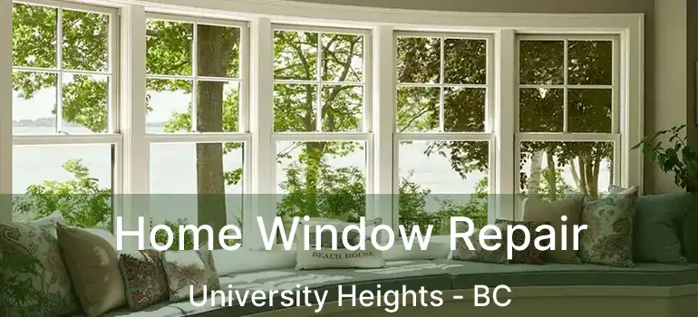  Home Window Repair University Heights - BC