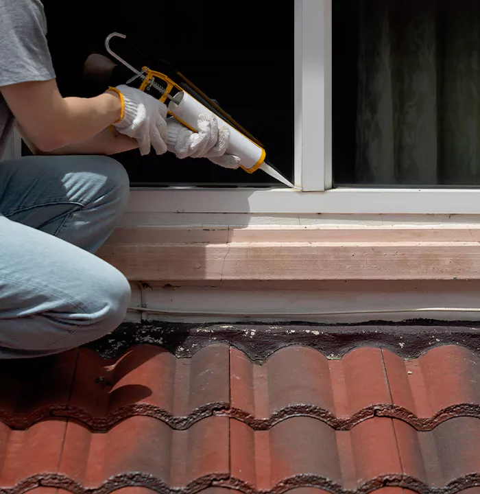 Roof Window Services in Maple Ridge, British Columbia