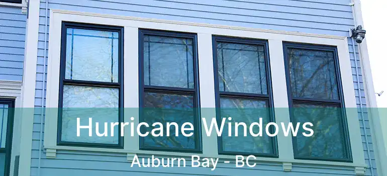  Hurricane Windows Auburn Bay - BC