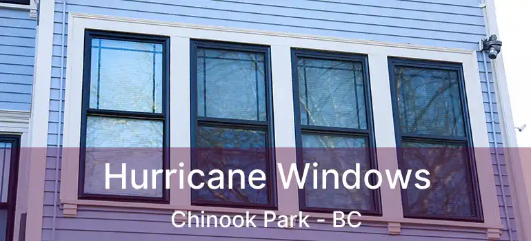  Hurricane Windows Chinook Park - BC