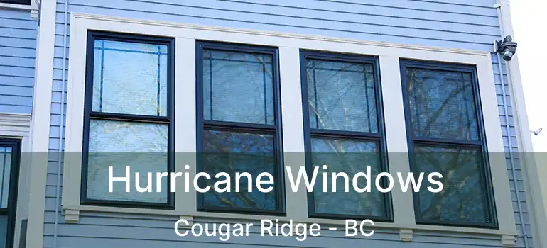  Hurricane Windows Cougar Ridge - BC
