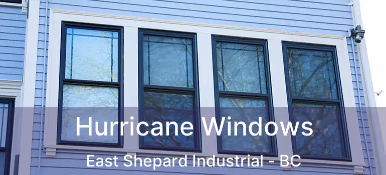  Hurricane Windows East Shepard Industrial - BC