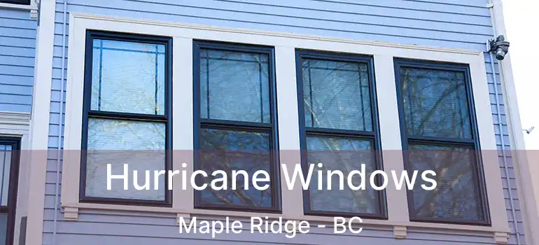  Hurricane Windows Maple Ridge - BC