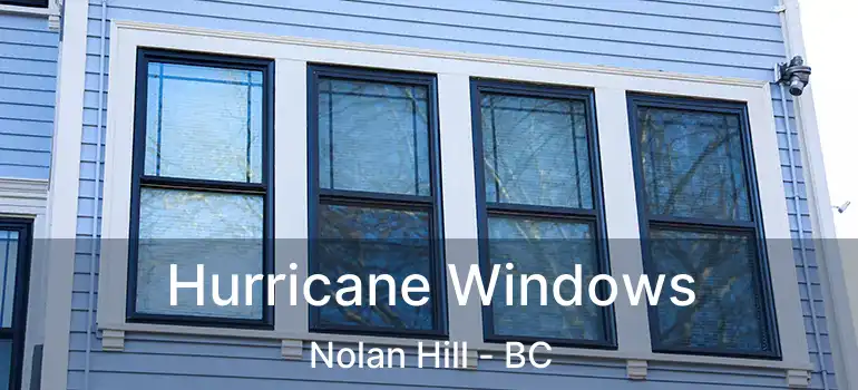  Hurricane Windows Nolan Hill - BC