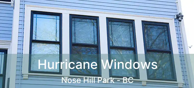  Hurricane Windows Nose Hill Park - BC