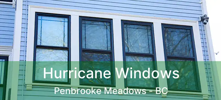  Hurricane Windows Penbrooke Meadows - BC