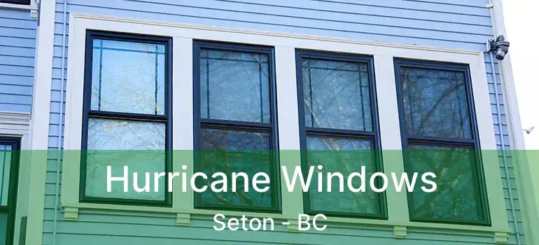  Hurricane Windows Seton - BC