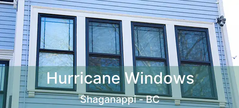  Hurricane Windows Shaganappi - BC