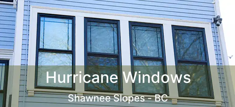  Hurricane Windows Shawnee Slopes - BC