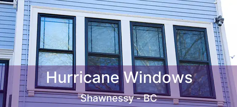  Hurricane Windows Shawnessy - BC