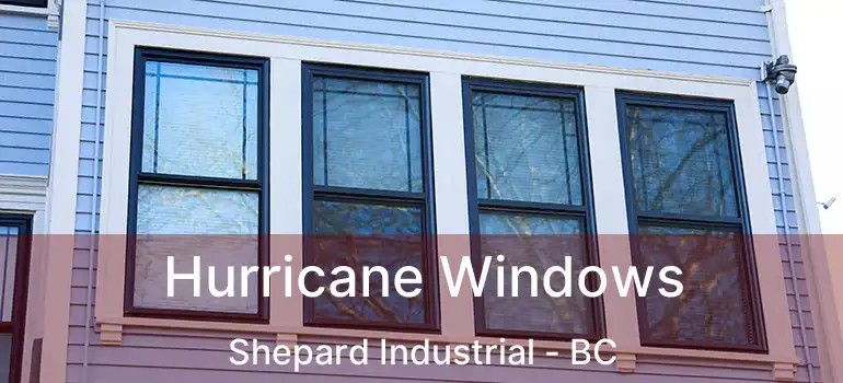  Hurricane Windows Shepard Industrial - BC