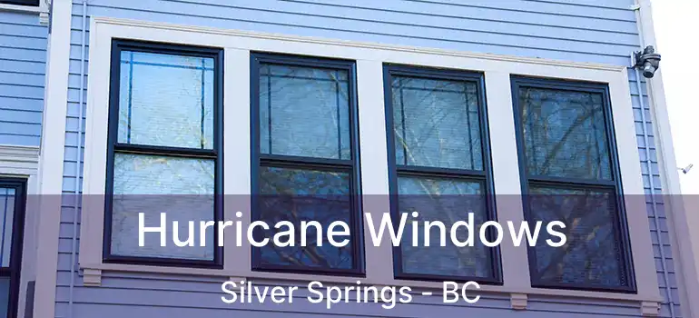  Hurricane Windows Silver Springs - BC