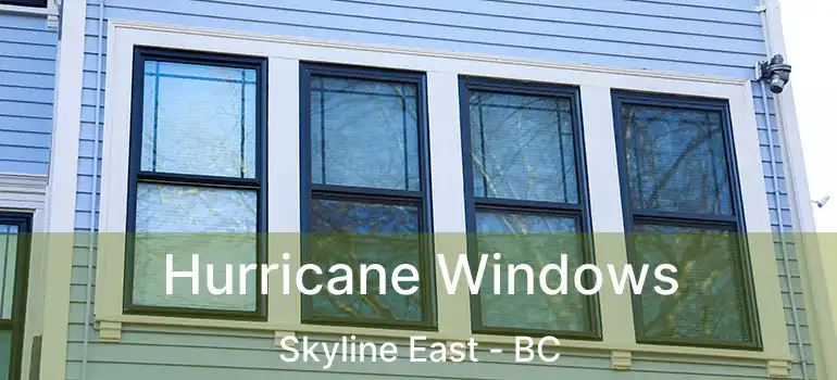  Hurricane Windows Skyline East - BC