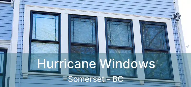 Hurricane Windows Somerset - BC